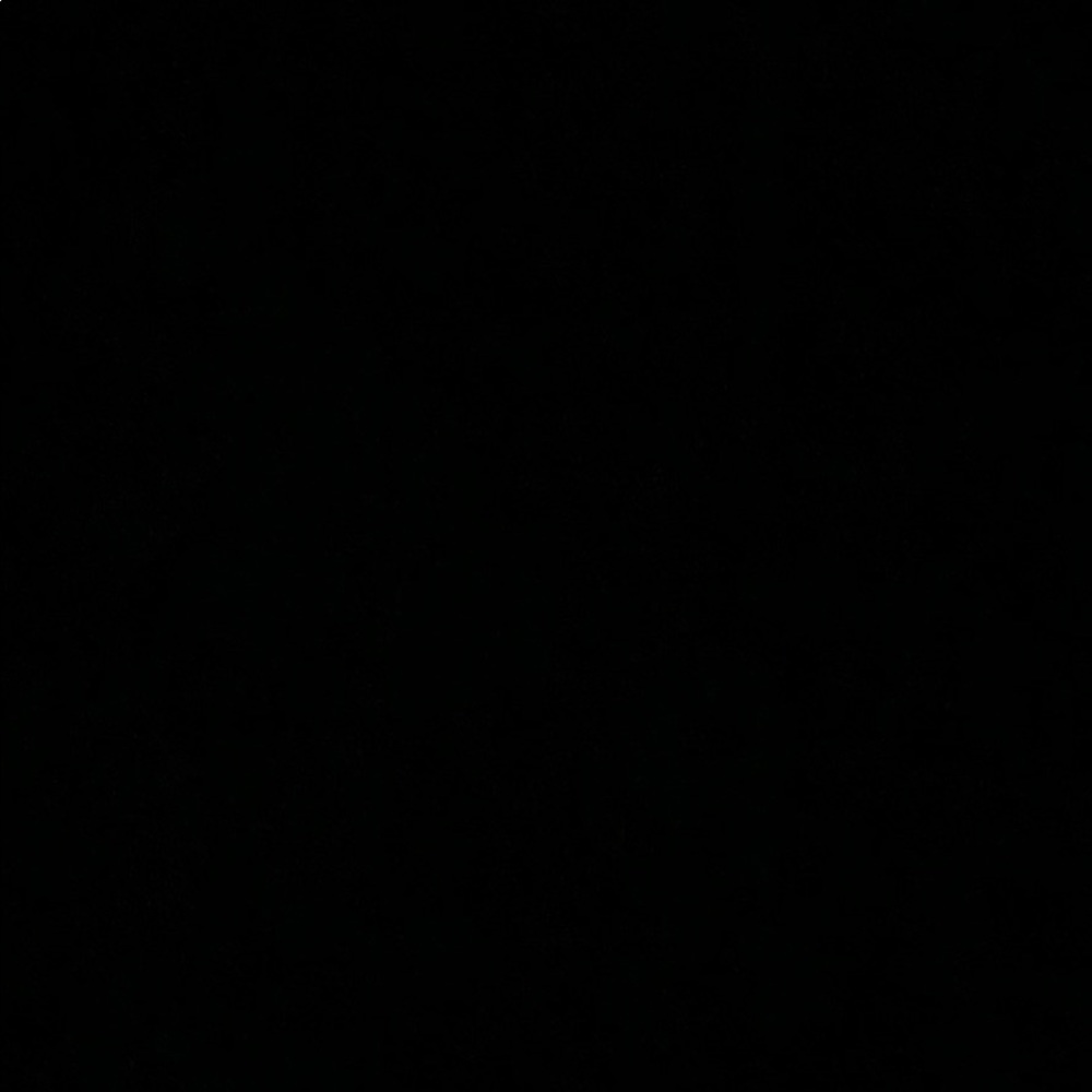 Meet your Posher, Havis